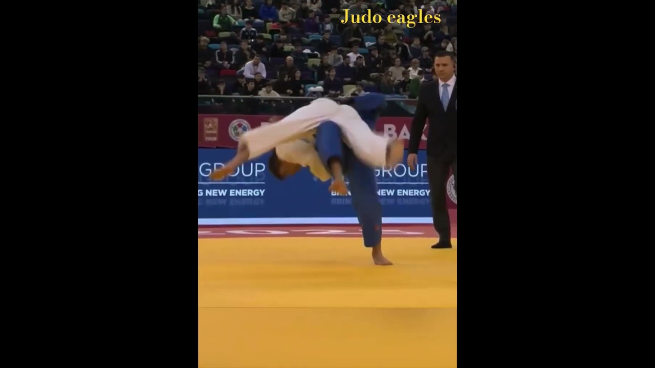 记精彩绝伦